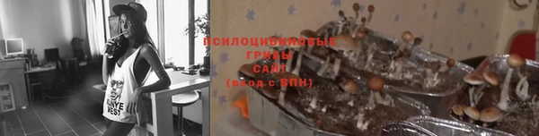 mix Белокуриха