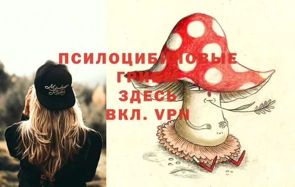 гашик Балахна