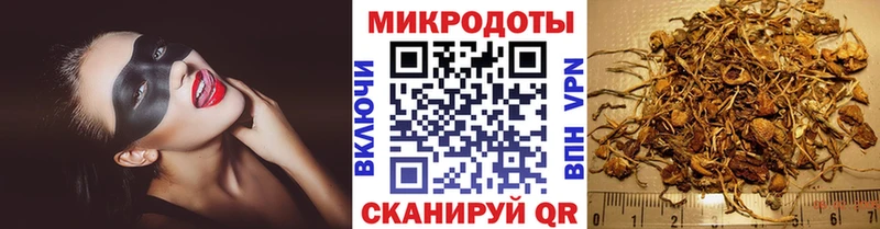Купить закладки  Верхняя Тура  Псилоцибиновые грибы Magic Shrooms 